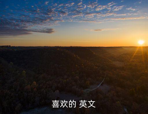 表示喜歡的英文,最受歡迎單曲最喜愛的人