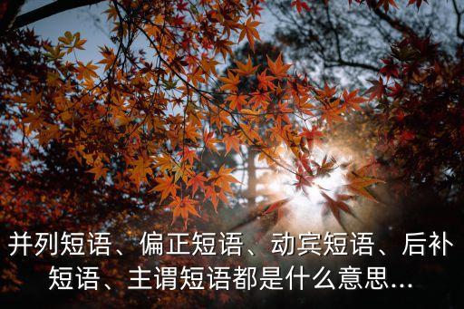 中心語是什么意思,溫柔的你是形容詞省略賓語中心句意思明顯