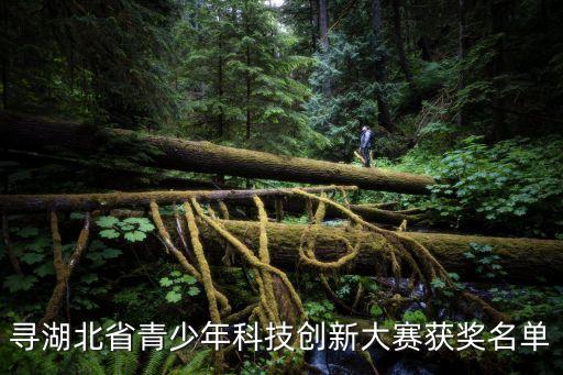 武漢市科協(xié),武漢市電子信息職業(yè)技術(shù)學(xué)校成為全市首家職業(yè)學(xué)校