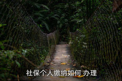 個(gè)人社保怎么辦理,如何自行支付社保?