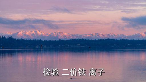 二價鐵離子的檢驗,高濃度鐵離子的水解度