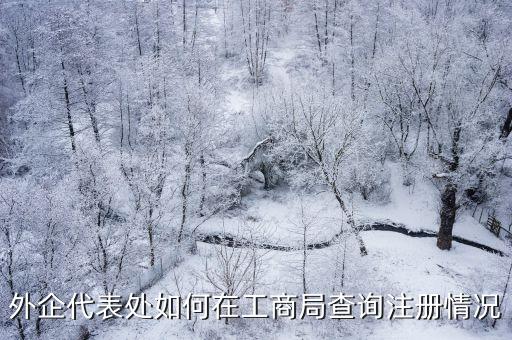 外企代表處如何在工商局查詢注冊情況