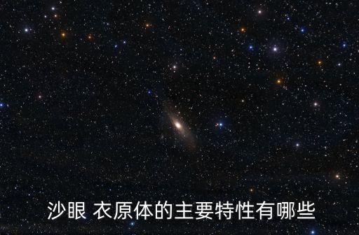  沙眼 衣原體的主要特性有哪些