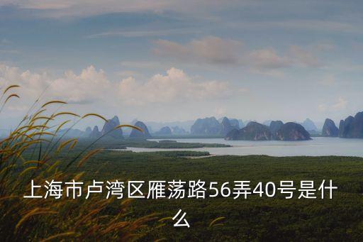 上海市盧灣區雁蕩路56弄40號是什么