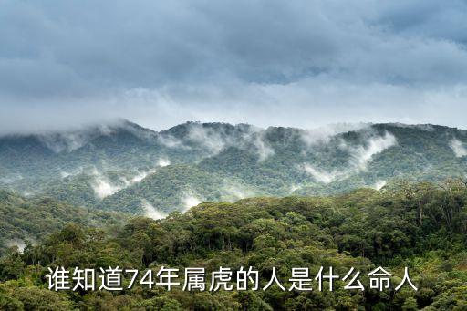 74年屬什么,虎年的來(lái)龍去脈