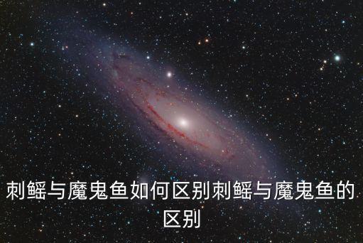 刺鰩,魔鬼魚(yú)和魚(yú)之別: