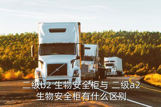  二級b2 生物安全柜與 二級a2 生物安全柜有什么區別
