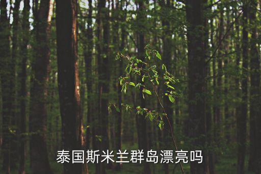 斯米蘭，皮皮島 皇帝島 斯米蘭 選哪個