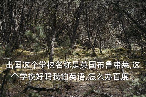 紐伊斯特,新加坡理工學院畢業典禮回教堂發揚光明