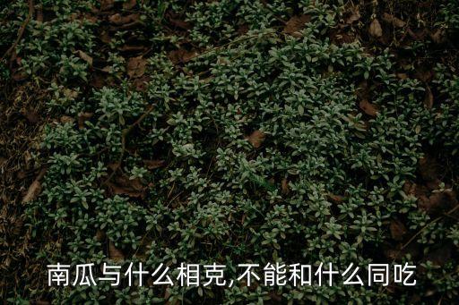  南瓜與什么相克,不能和什么同吃