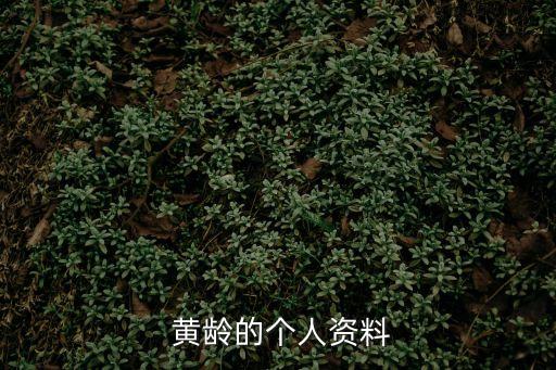 黃齡,《癢》《紅眼睛》等中國女歌手