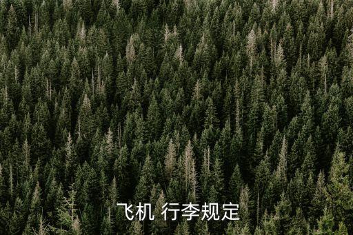 飛機行李要求,托運大件物品行李最好帶個包