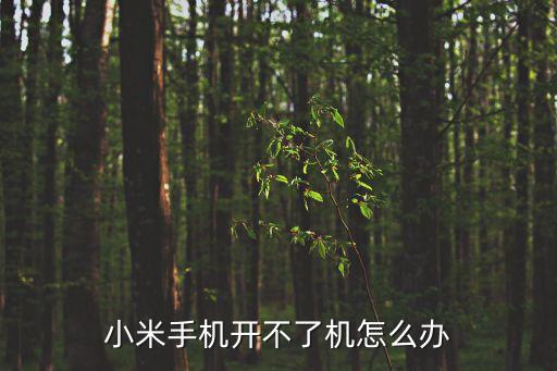 小米手機開不了機怎么辦