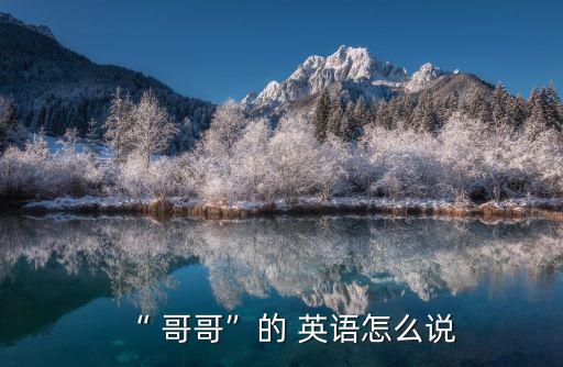 “ 哥哥”的 英語怎么說