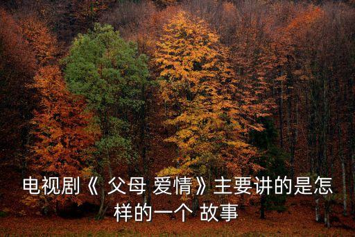 電視劇《 父母 愛情》主要講的是怎樣的一個 故事