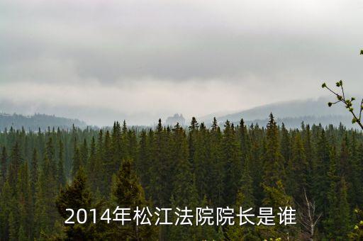 2014年松江法院院長是誰