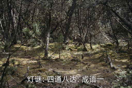 四通八達打一成語,四通八達打一成語:通達達達通達大同