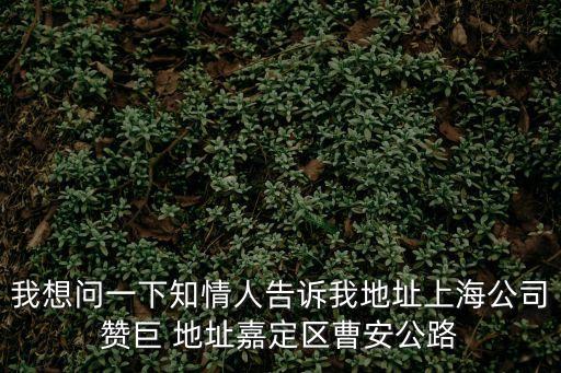 我想問一下知情人告訴我地址上海公司贊巨 地址嘉定區(qū)曹安公路