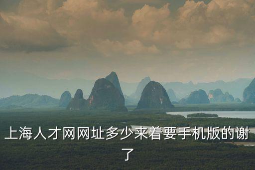 上海人才網網址多少來著要手機版的謝了