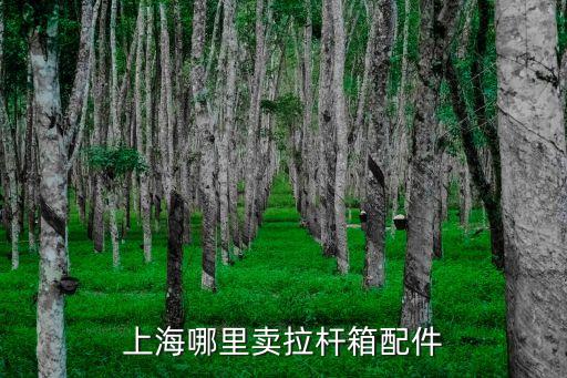 上海市有釘箱機配件買嗎，上海哪里賣拉桿箱配件