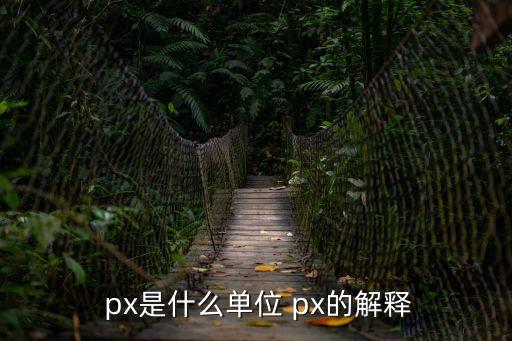 px,英文單詞pixel的英文縮寫