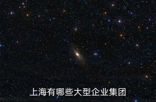 上海有哪些大型企業集團