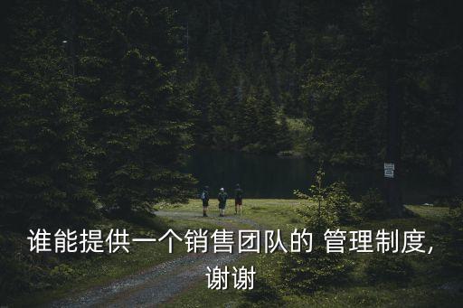 誰能提供一個銷售團隊的 管理制度,謝謝