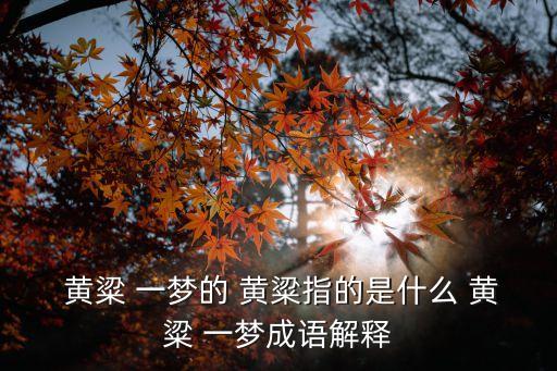 黃粱一夢,黃粱一夢比喻虛幻夢想或不可企及的欲望