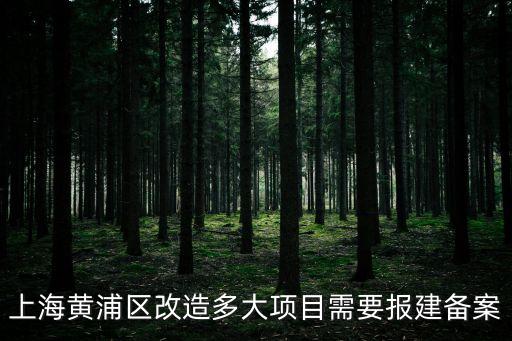 上海市工程報建限額，上海建筑工程綜合預算定額
