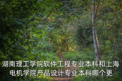 湖南理工學院軟件工程專業本科和上海電機學院產品設計專業本科哪個更