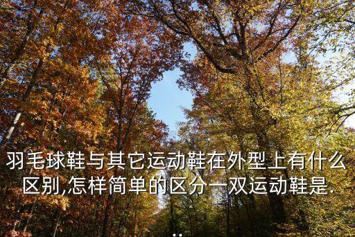 乒乓球鞋推薦,乒乓球鞋shoes推薦你這款鞋