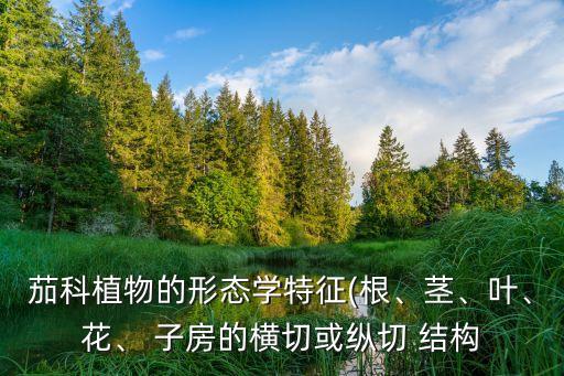 子房的結構,由花托和子房發展而來的果樹