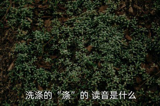 洗滌讀音,洗化基礎知多少】洗和洗!