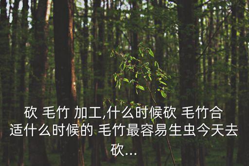 毛竹加工,秋天的竹子有何特色?