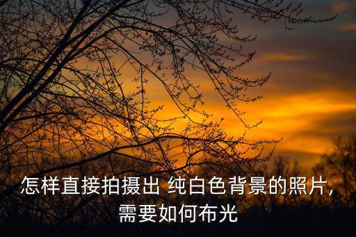 怎樣直接拍攝出 純白色背景的照片,需要如何布光