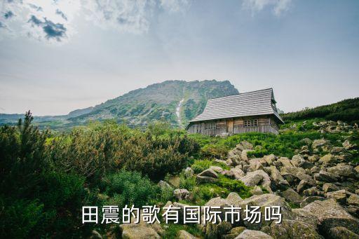  田震的歌有國際市場嗎