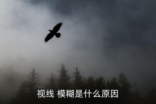 視力模糊什么原因,視力模糊可能是眼球有病變導致的