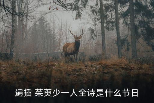 遍插 茱萸少一人全詩是什么節日