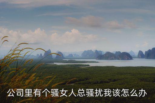 公司里有個騷女人總騷擾我該怎么辦
