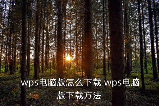  wps電腦版怎么下載 wps電腦版下載方法