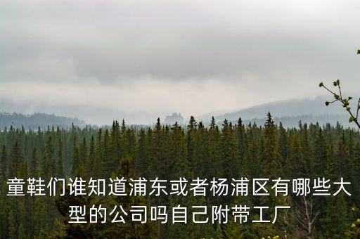 上海市楊浦區(qū)知名企業(yè)，童鞋們誰(shuí)知道浦東或者楊浦區(qū)有哪些大型的公司嗎自己附帶工廠