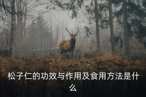  松子仁的功效與作用及食用方法是什么