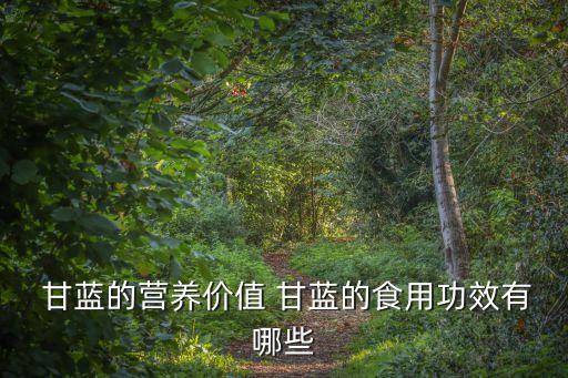  甘藍(lán)的營養(yǎng)價值 甘藍(lán)的食用功效有哪些