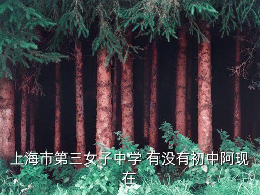 上海市第三女子中學 有沒有初中阿現在