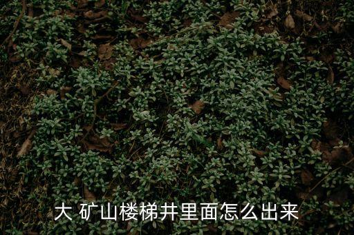 大礦山,必和必拓大聲呼救引起路人注意