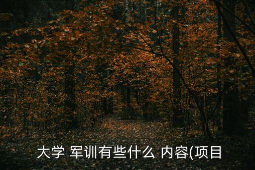 大學(xué) 軍訓(xùn)有些什么 內(nèi)容(項目