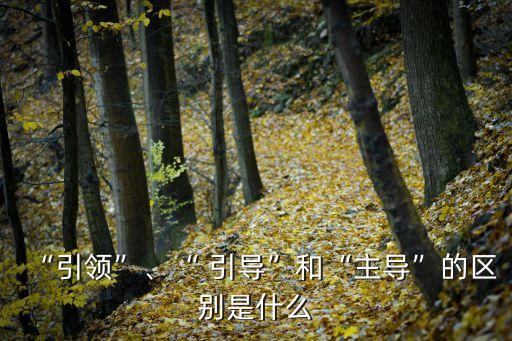 “引領”、“ 引導”和“主導”的區別是什么