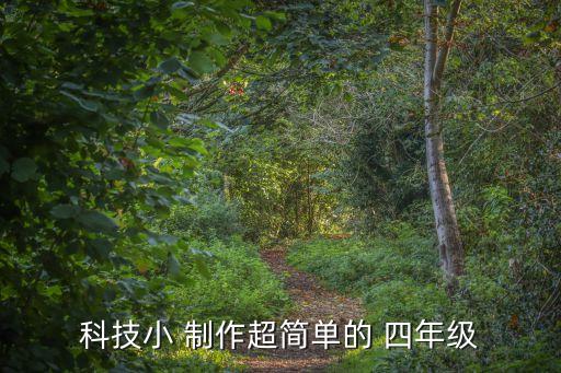 四年級科學小制作,起重機自重和起重量制作材料及工具