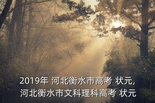 2019年 河北衡水市高考 狀元, 河北衡水市文科理科高考 狀元