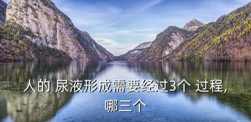 人的 尿液形成需要經過3個 過程,哪三個